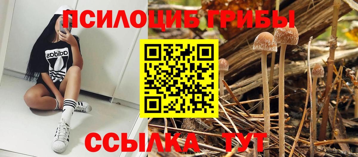 Галлюциногенные грибы MAGIC MUSHROOMS Кунгур
