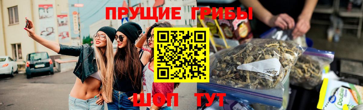 Кунгур  Псилоцибиновые грибы прущие грибы  Галлюциногенные грибы Psilocybine cubensis  Вход с VPN 
